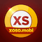 ic_launcher